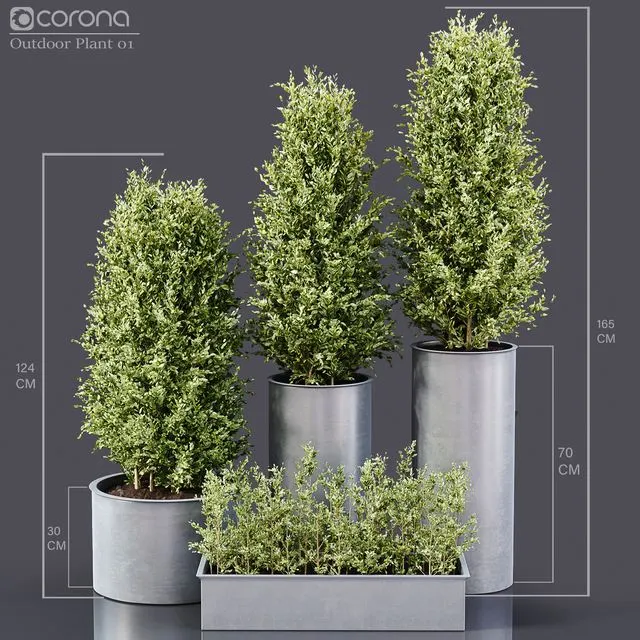 Outdoor Plant 01 
