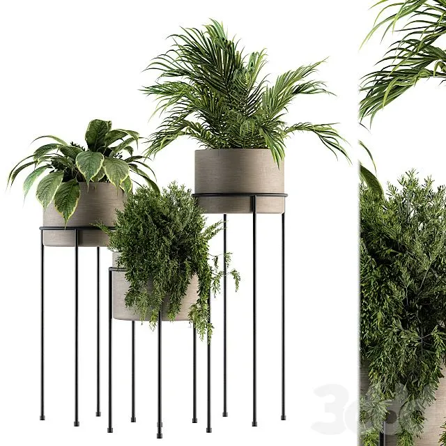 Plant Set 129 – Plant Stand 
