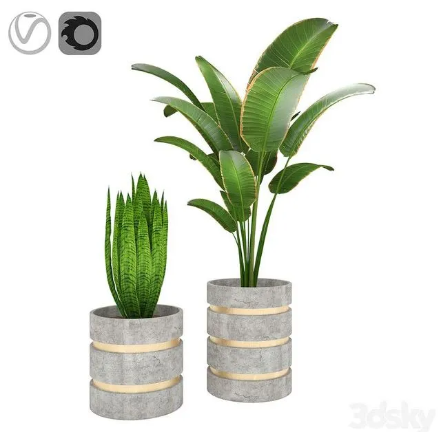 Plants_01 