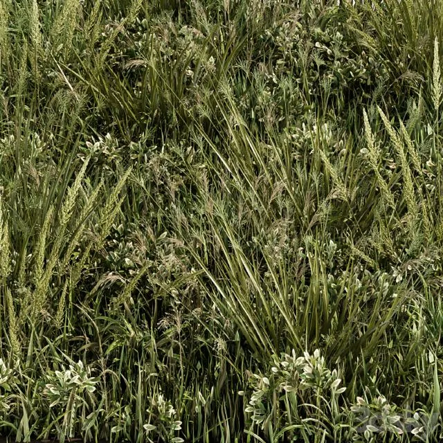 Wild Grass Green – Grass Set 03 