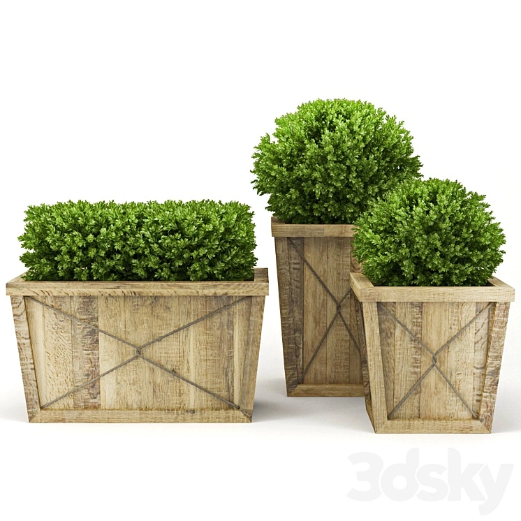Collection_of_Plants_V 