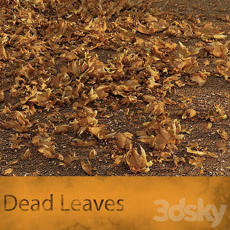 Dead Leaves 
