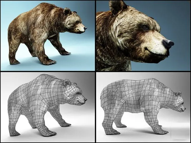 Bear 