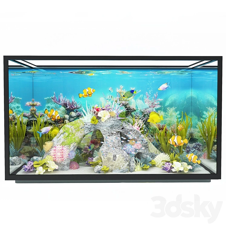 new modern aquarium 