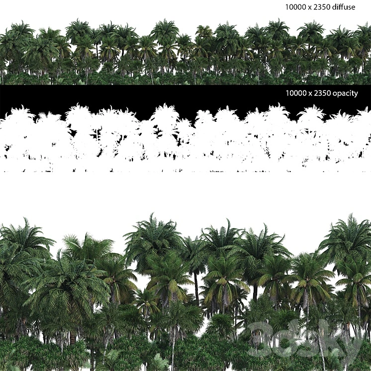 Palm Forest Panorama with Opacity Map 