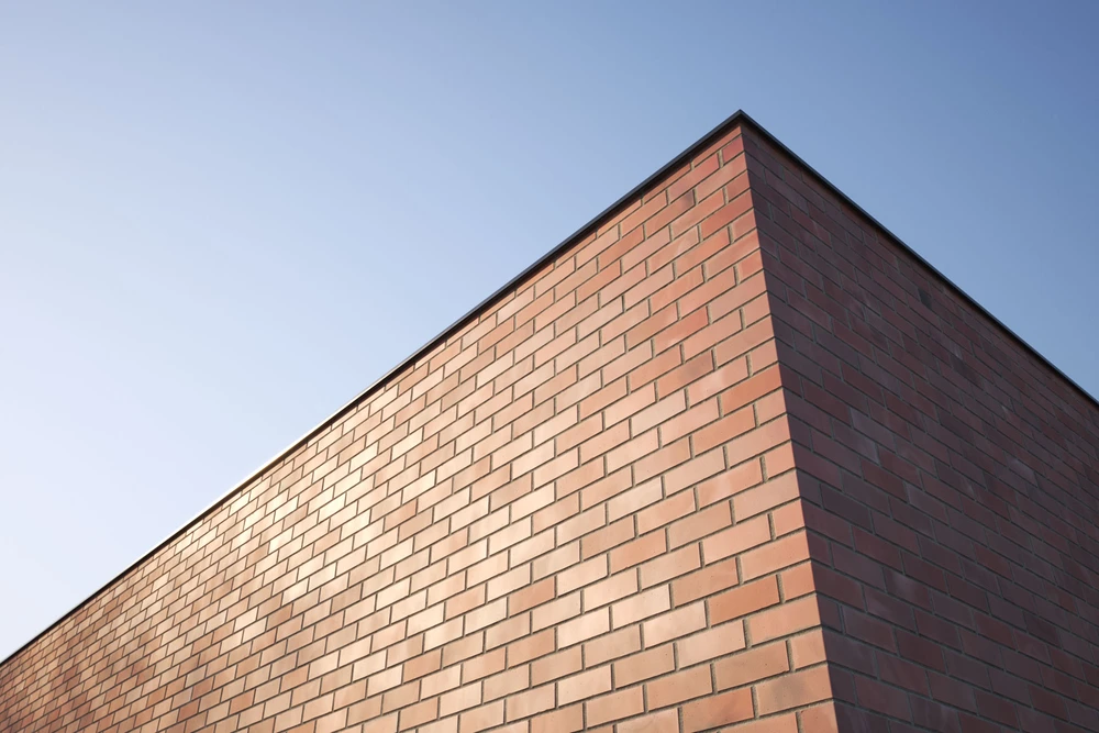 VP_Brick1_01 
