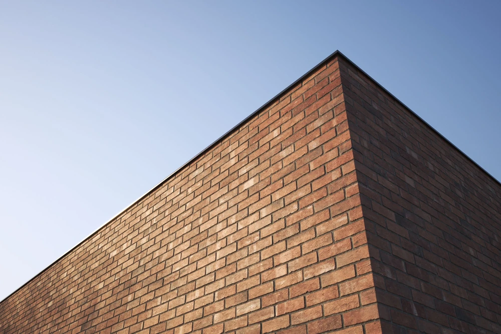 VP_Brick1_06 
