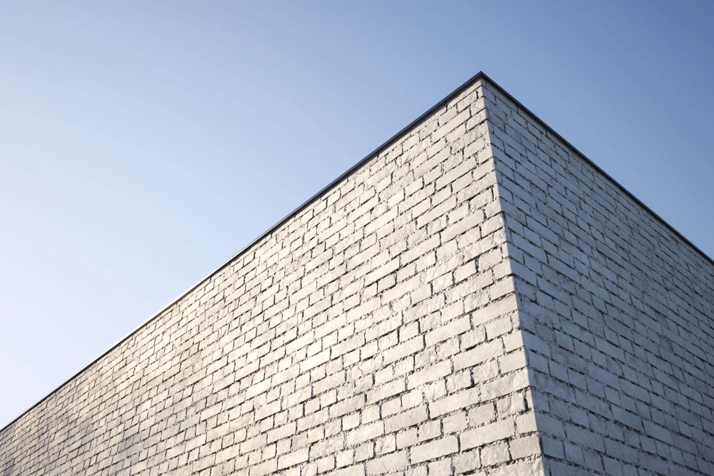 VP_Brick1_12 