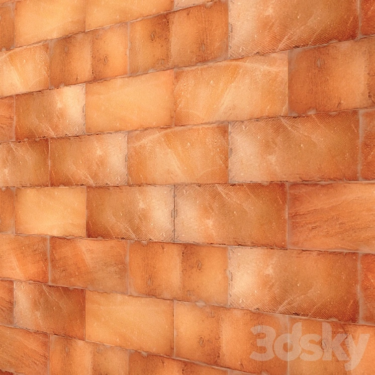 Himalayan salt wall 