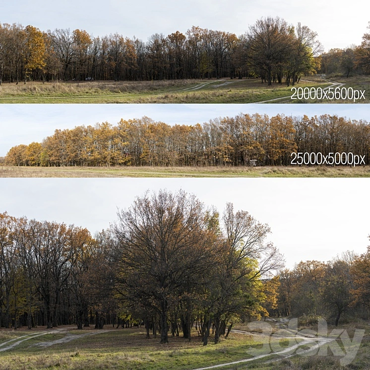 Oak Grove. 2 panoramas 