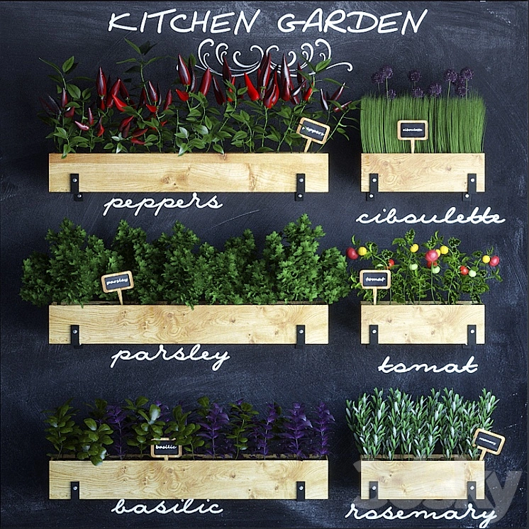 Kitchen garden 