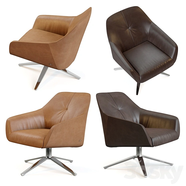 Desede DS-278 
