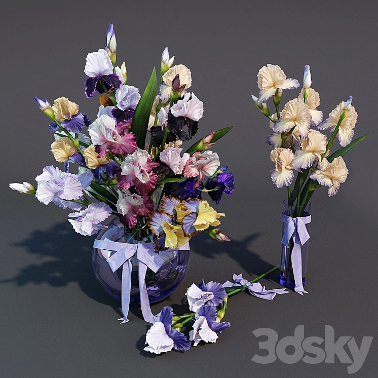 Irises 