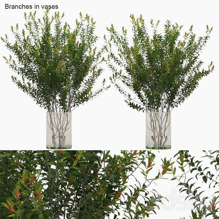 Branches in vases: Dragon Lady 