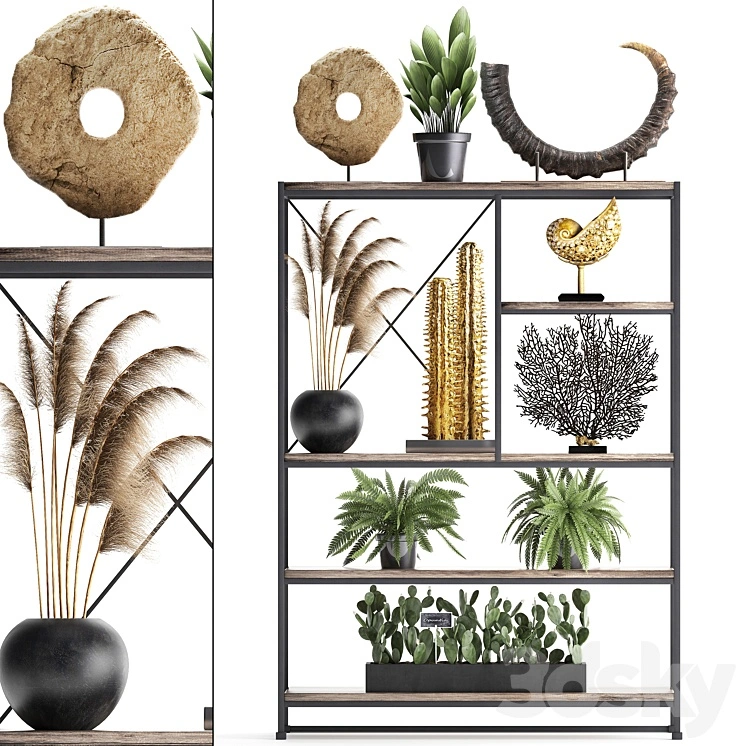 Decorative set 14. Decor shelf, tusk, pampas grass, dried flower, coral, cactus, fern, rack, loft decor 