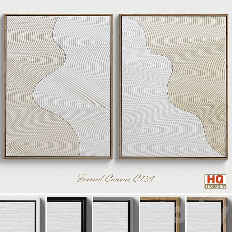 Framed Canvas C-134 