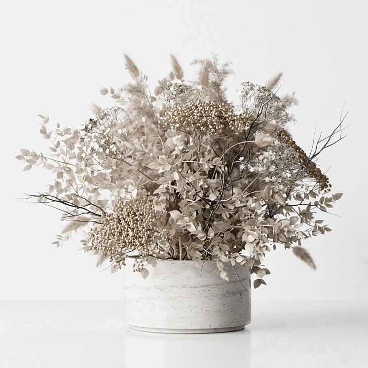 Dried Flower 