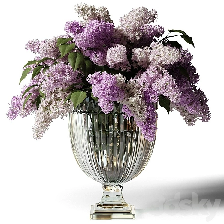 Bouquet of lilacs in a glass vase 