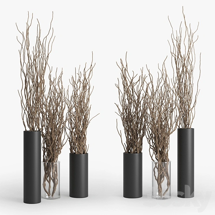 Dry Branch 