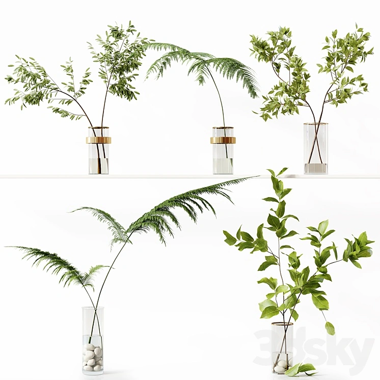 Collection Indoor Plants 058 