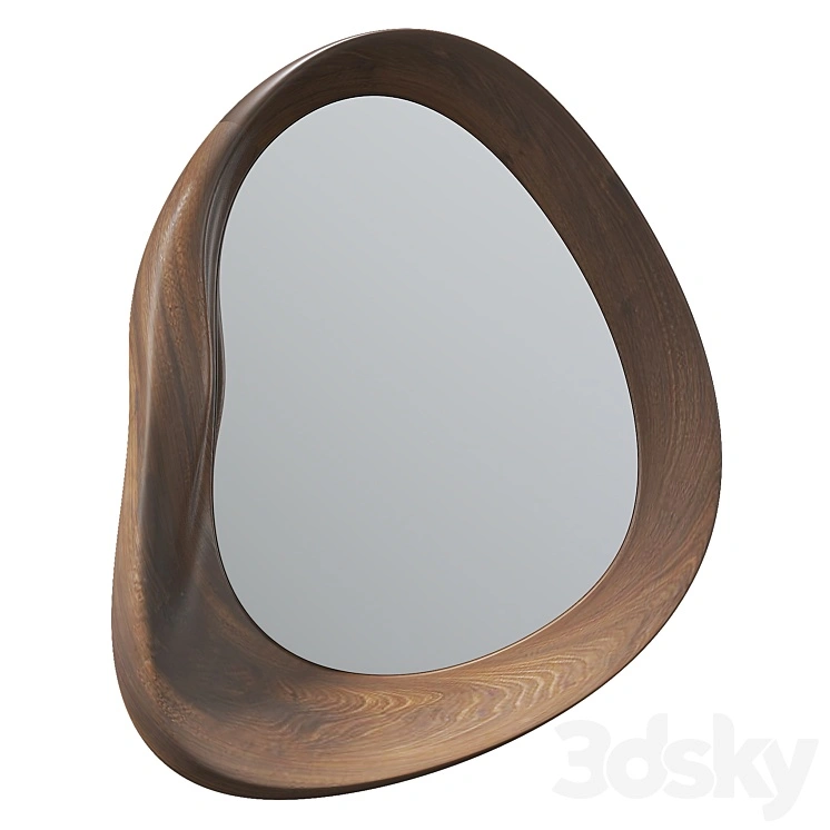 Asymmetric Mirror 