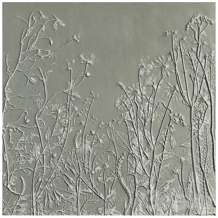 Botanical bas-relief gypsum wall decorative panel juniper dried flowers plants flora chamomile hogweed 