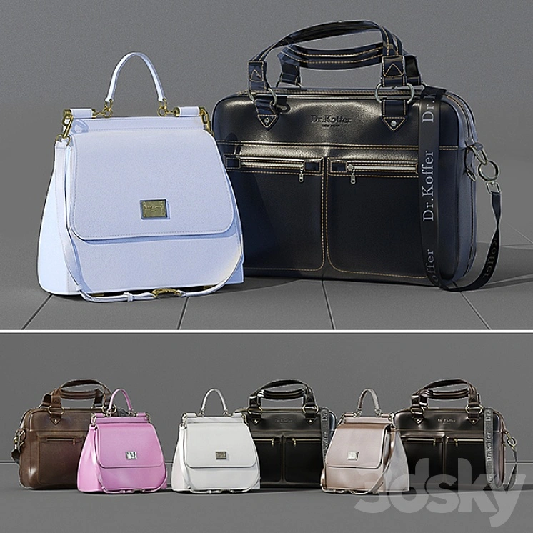 Business leather bag Dr.Koffer + women's bag Dolce Gabbana 