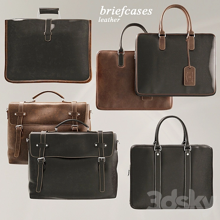 Briefcases Set 