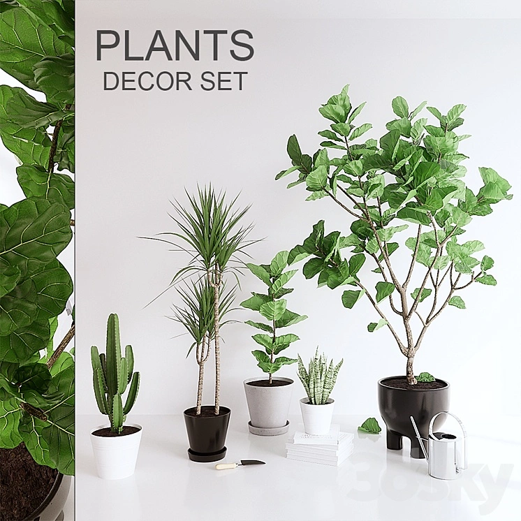 PLANTS SET (vray GGX, corona PBR) 