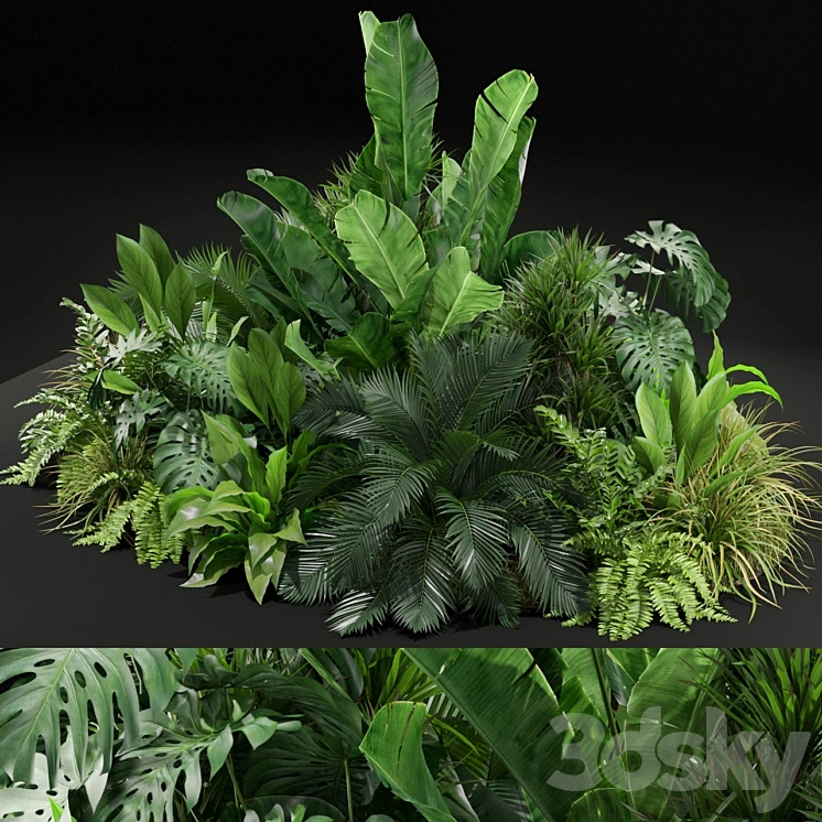 Plants collection 445 