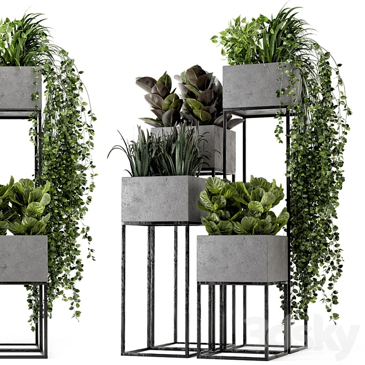 Indoor Plants in rusty Concrete Pot on Metal Shelf - Set 221 