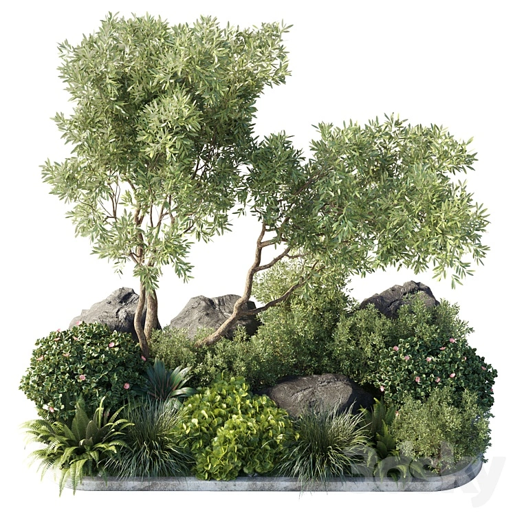 Collection outdoor indoor 62 pot plant & tree & bush & fern the garden pot 