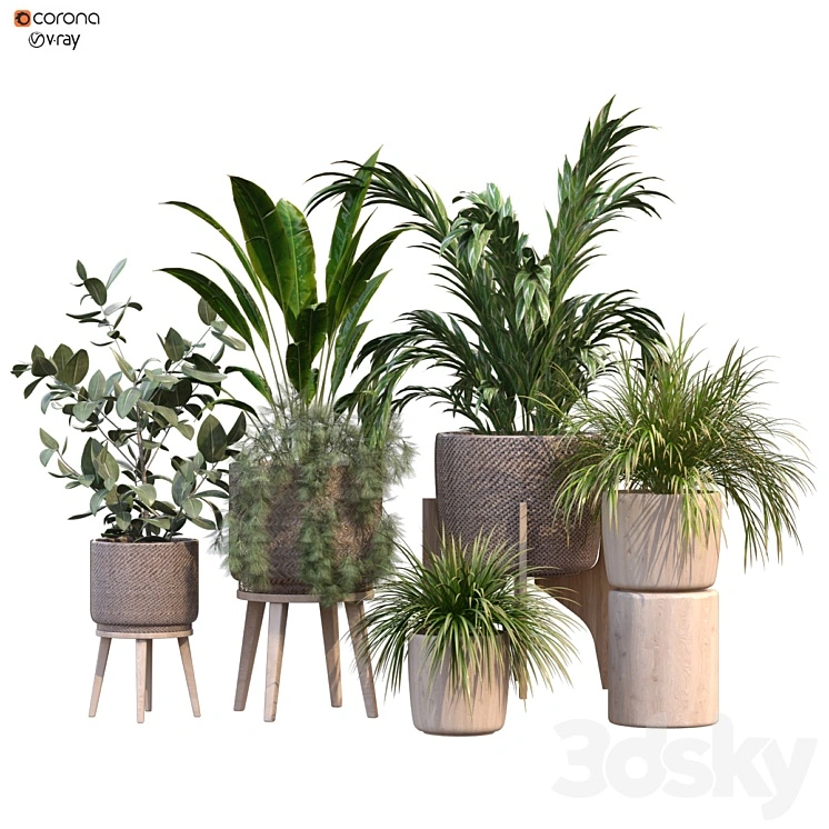 plant in vase collection set 214 