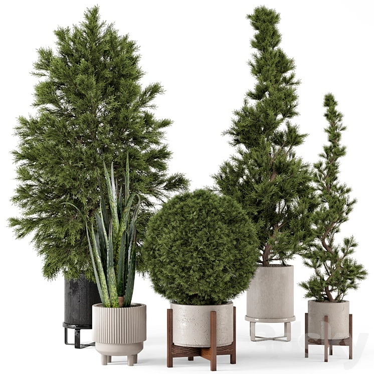 Indoor Plants in Ferm Living Bau Pot Large - Set 364 