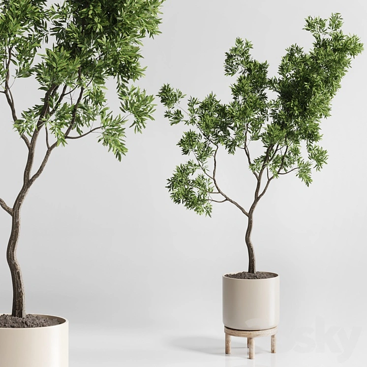 Indoor plant 176 wooden vase plant tree pot 