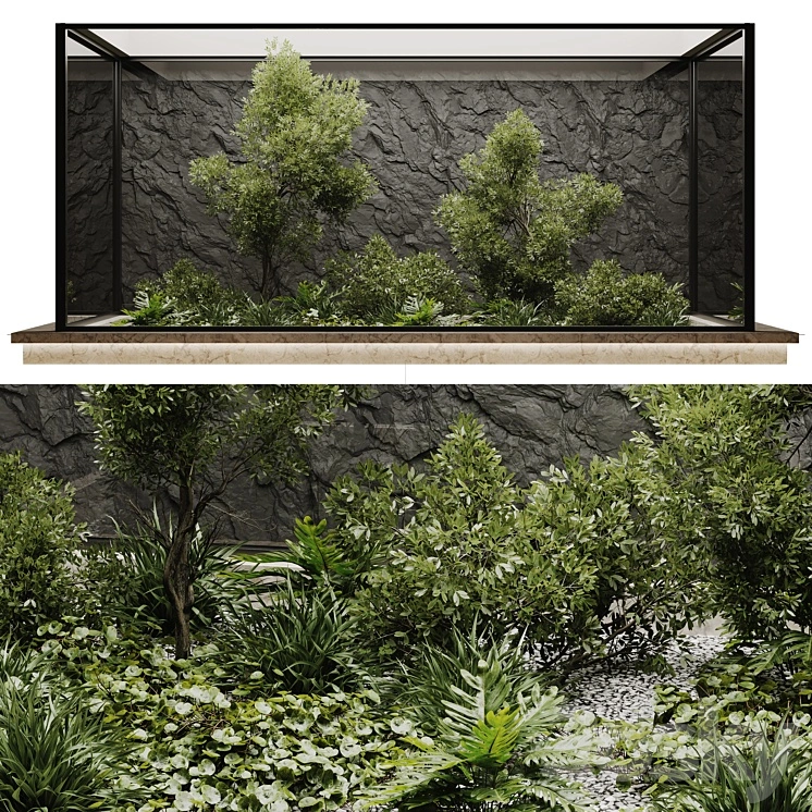 indoor plant set 50 