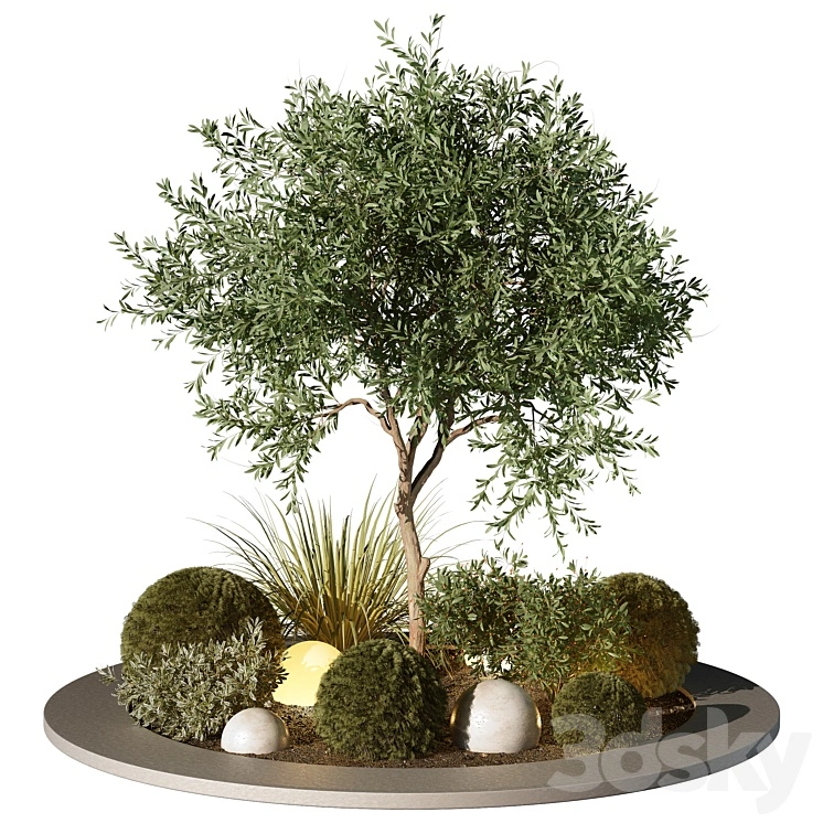 Outdoor Plant 196 