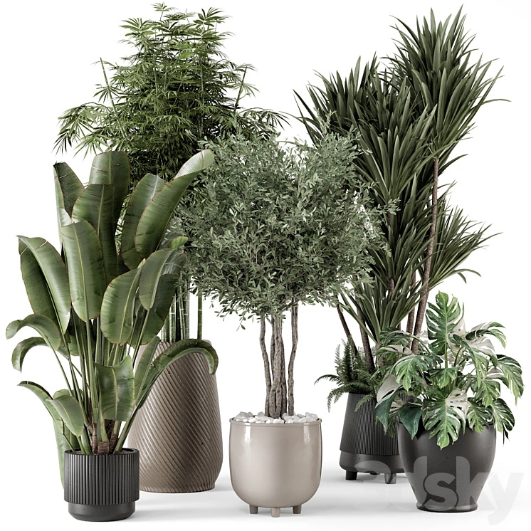 Indoor Plants in Ferm Living Bau Pot Large - Set 1325 