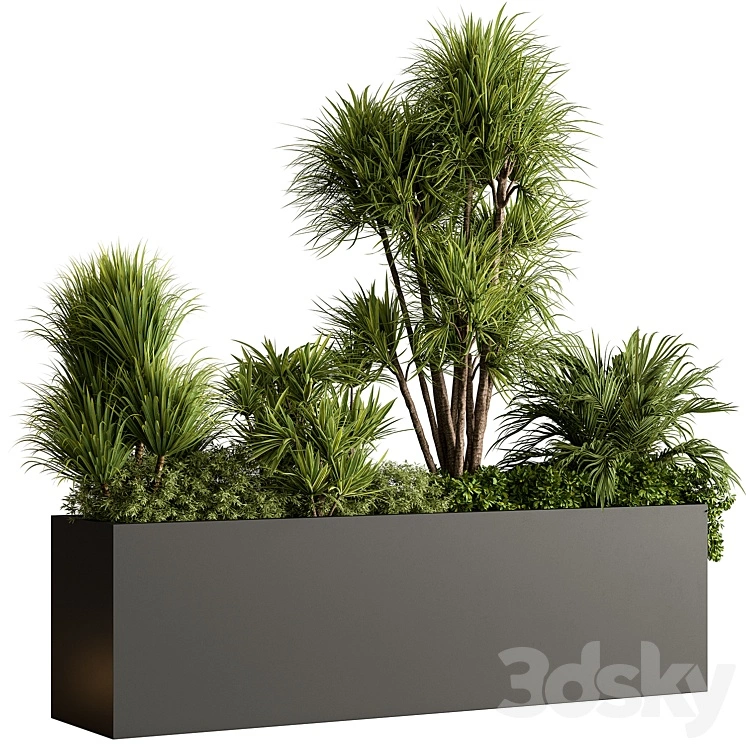 Plant Box - Outdoor Plants 580 