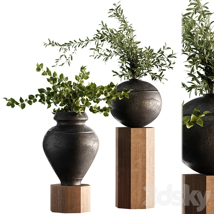 Indoor Plant Set 65 