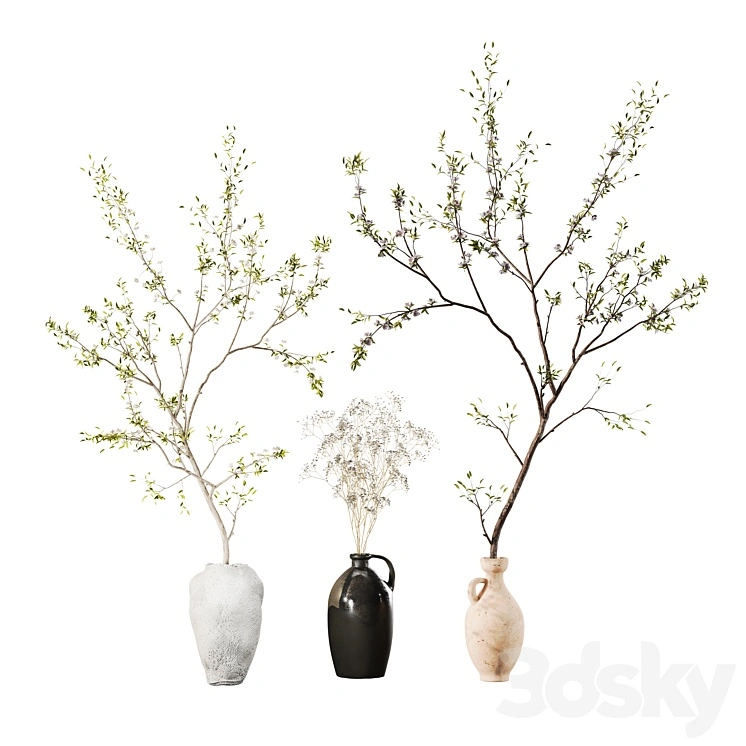 Indoor Plant 01 