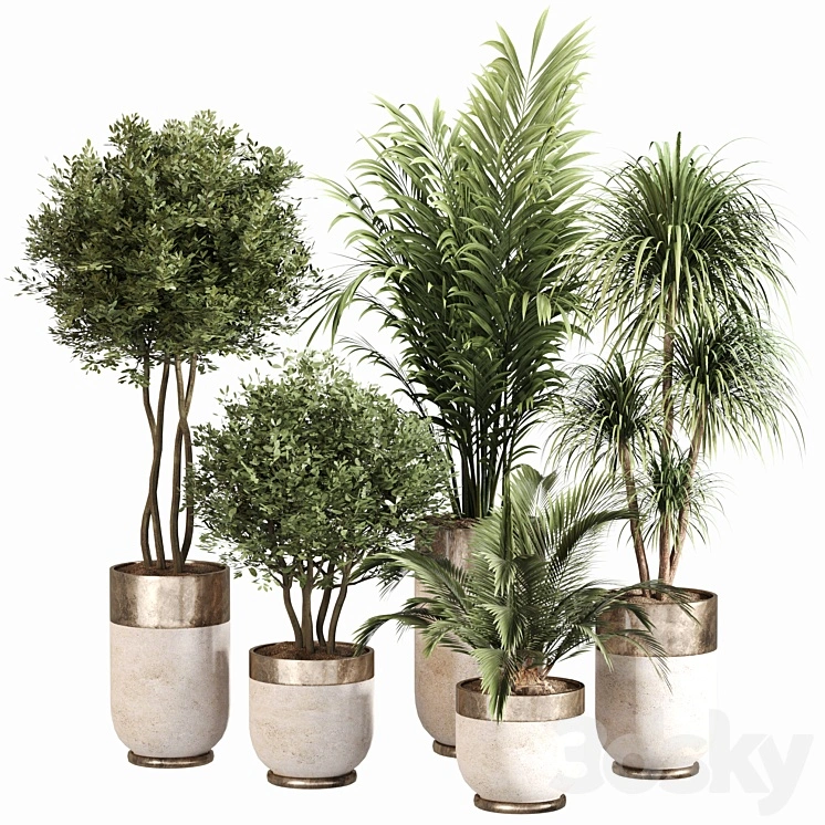Indoor Plant Set 053 