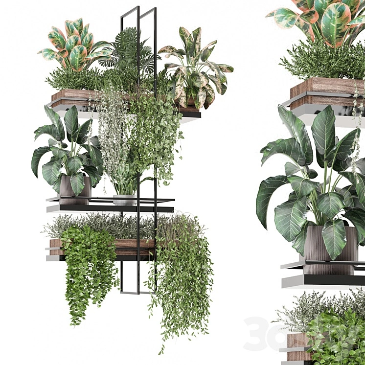 indoor plants in metal box 1580 