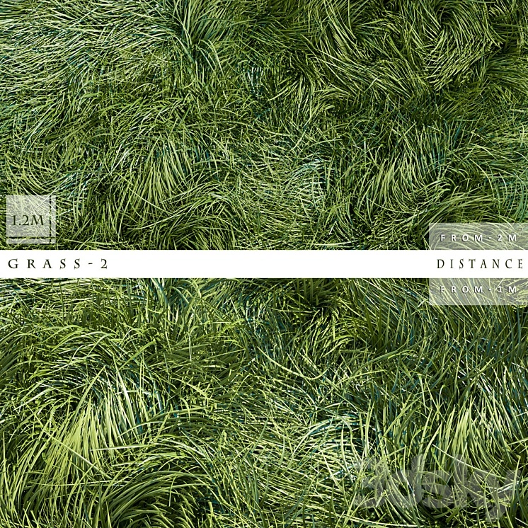 GRASS 2 