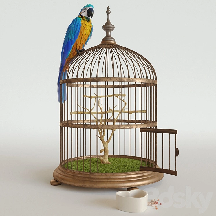 Parrot Ara 