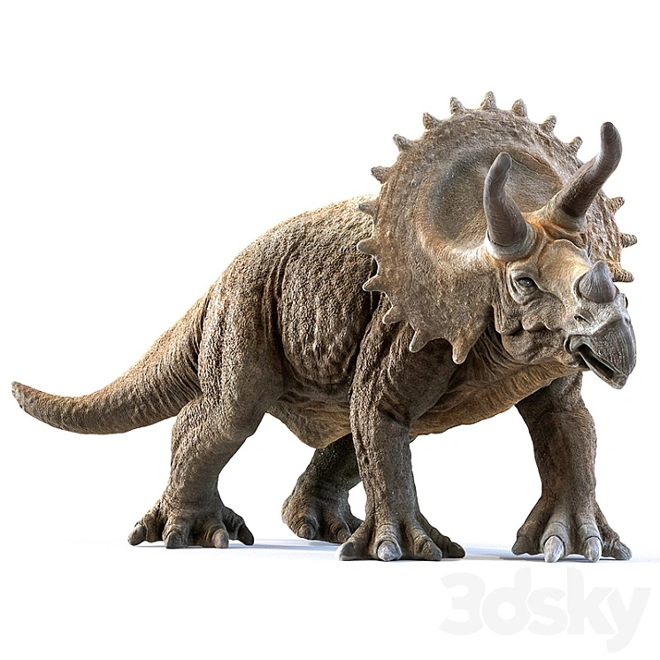 triceratops 
