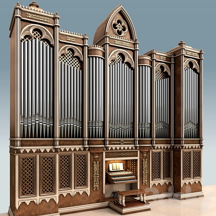 Organ 