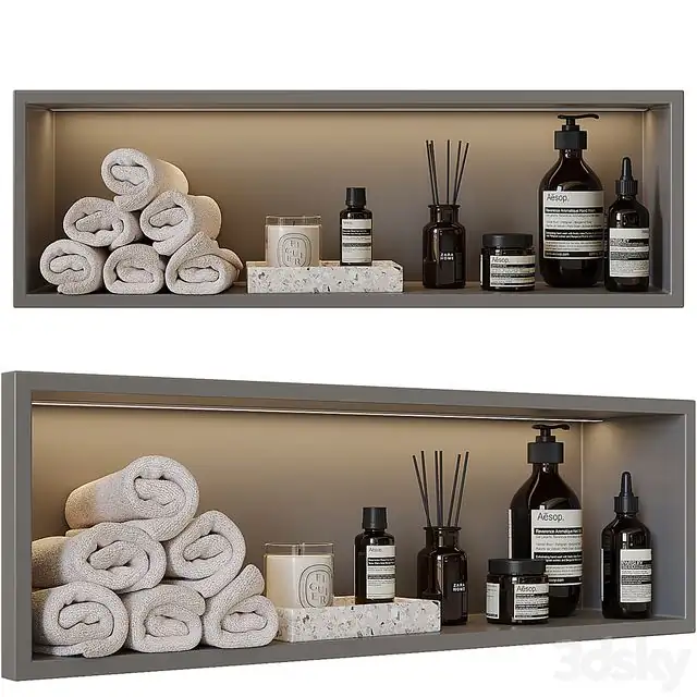 Shelf above the toilet 