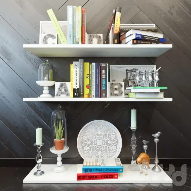 Shelves with books and decor 