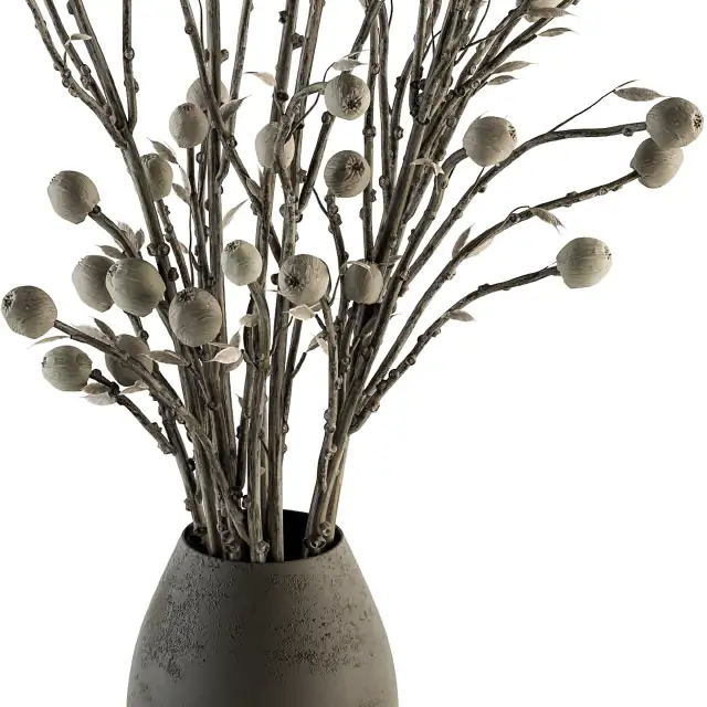 Bouquet 32 Dried Plant Papavet Bouquet 
